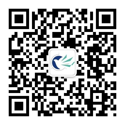 同栏目条目通常按更新顺序排列
