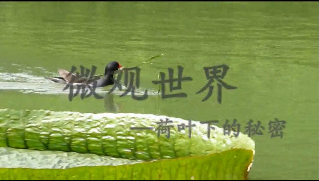阅读「华体会平台